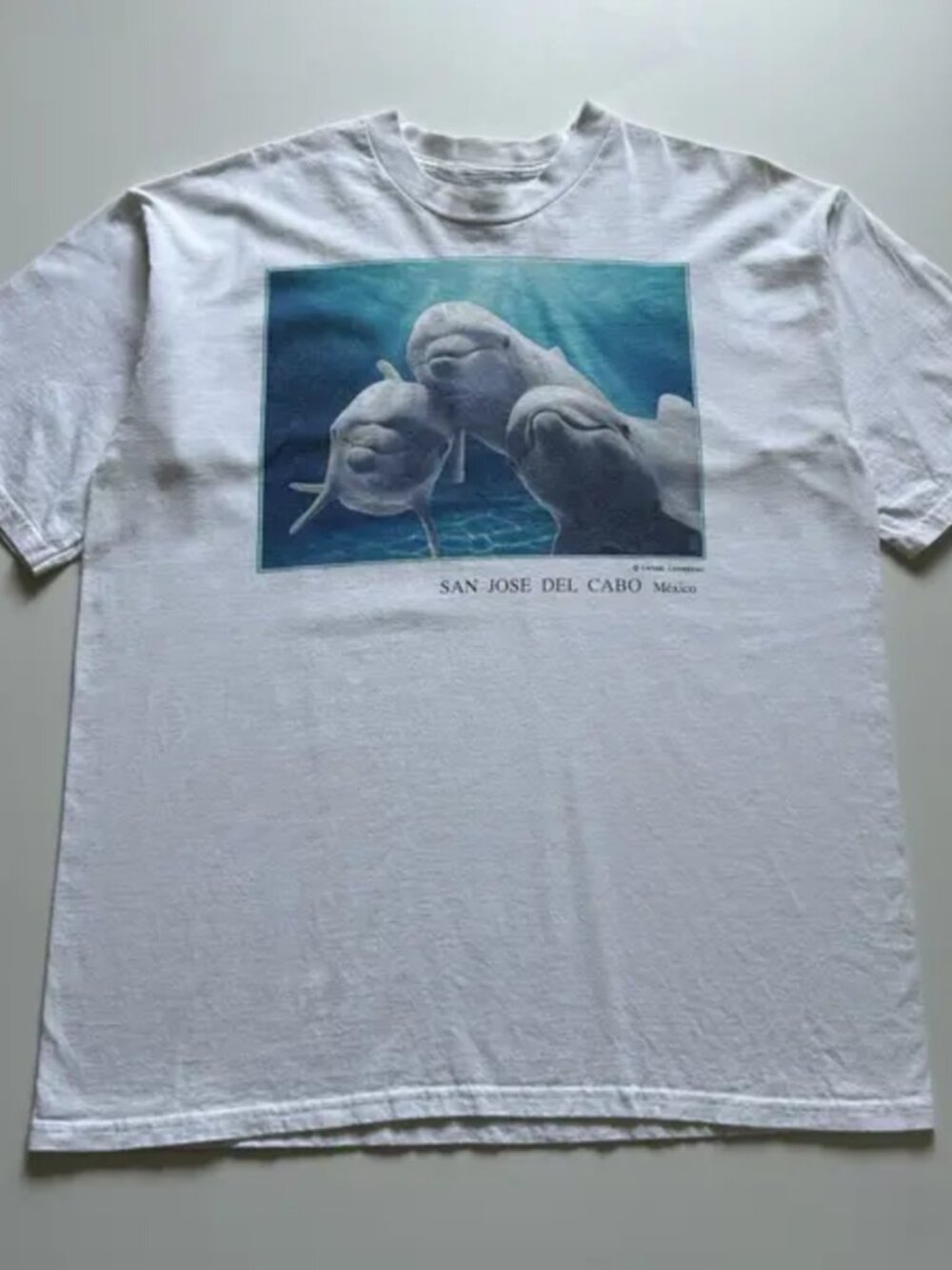 San Jose Del Cabo Mexico Dolphin Nature Tee